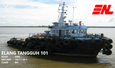 Elang Tangguh 101